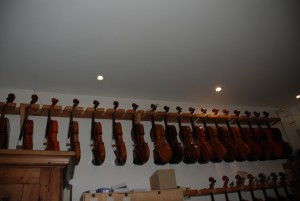 jpg/DSC_8191.jpg jpg/DSC_8191.jpg